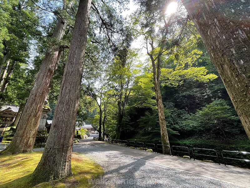 永平寺 自然