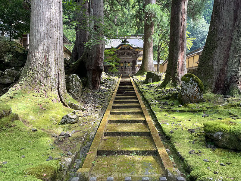 永平寺 見どころ