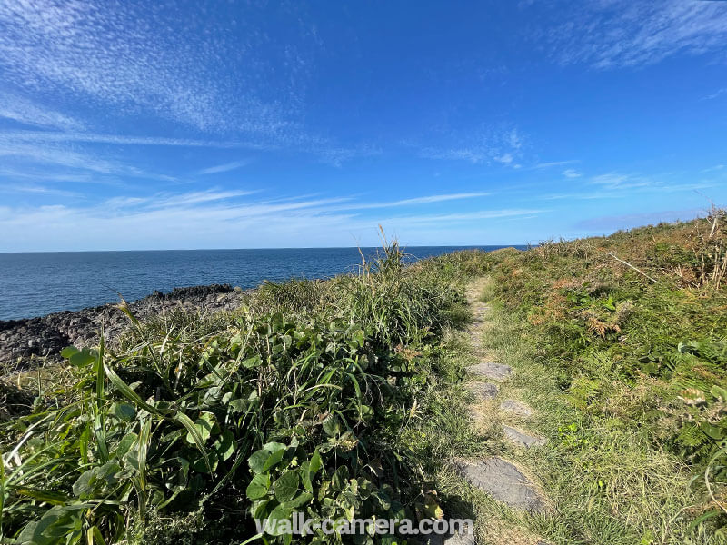 雄島 散策路の風景