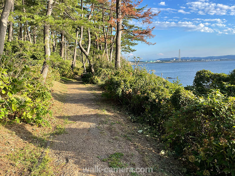 東尋坊 荒磯遊歩道