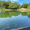 名勝 養浩館庭園 福井駅 行き方 所要時間