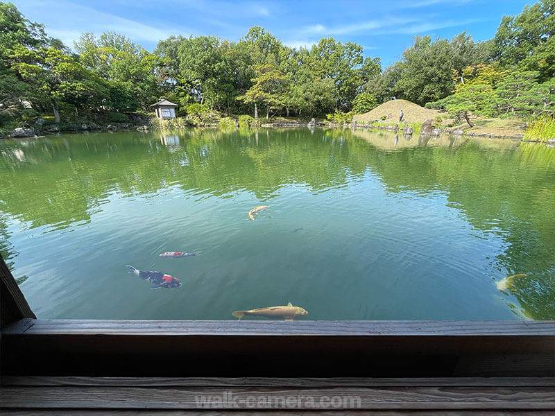 養浩館庭園のお屋敷から見る池