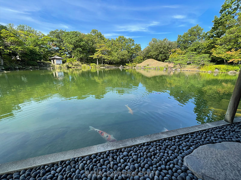 福井県 名勝 養浩館庭園