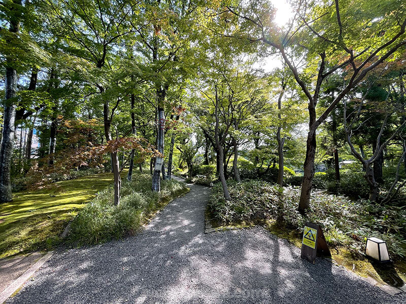 養浩館庭園 自然 新緑・紅葉