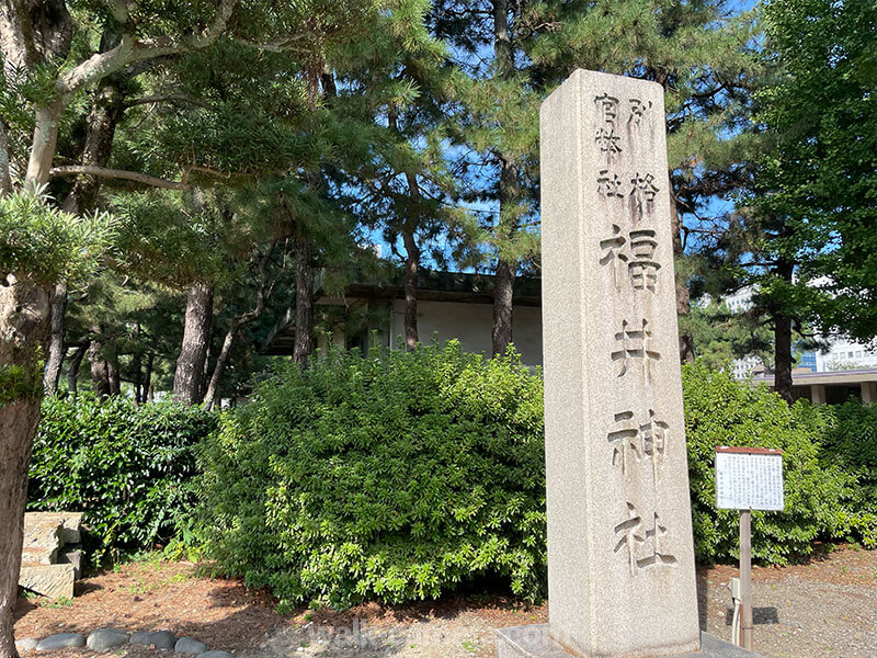 福井神社の見どころ