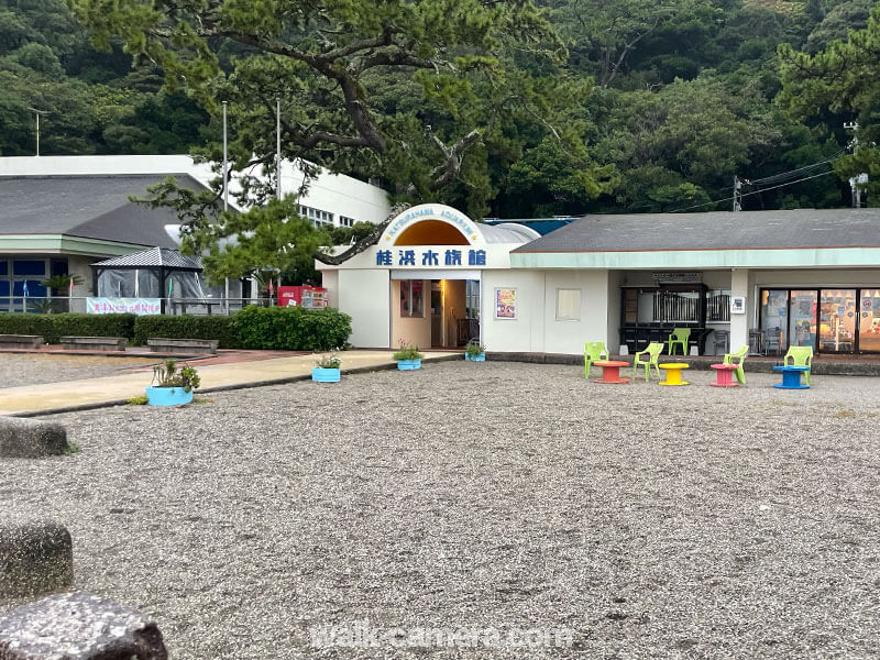 桂浜水族館の見どころ