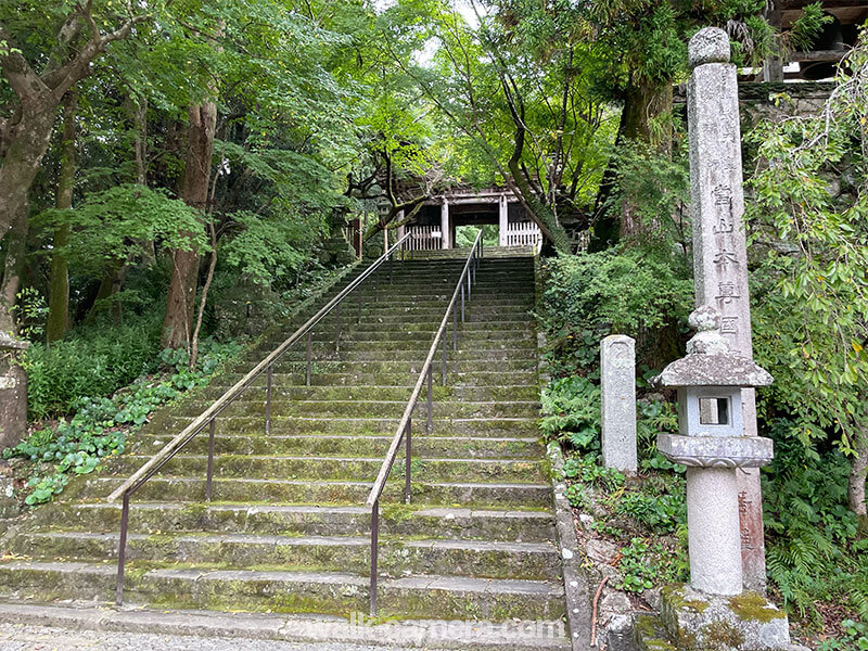 龍馬記念館から竹林寺を観光する方法