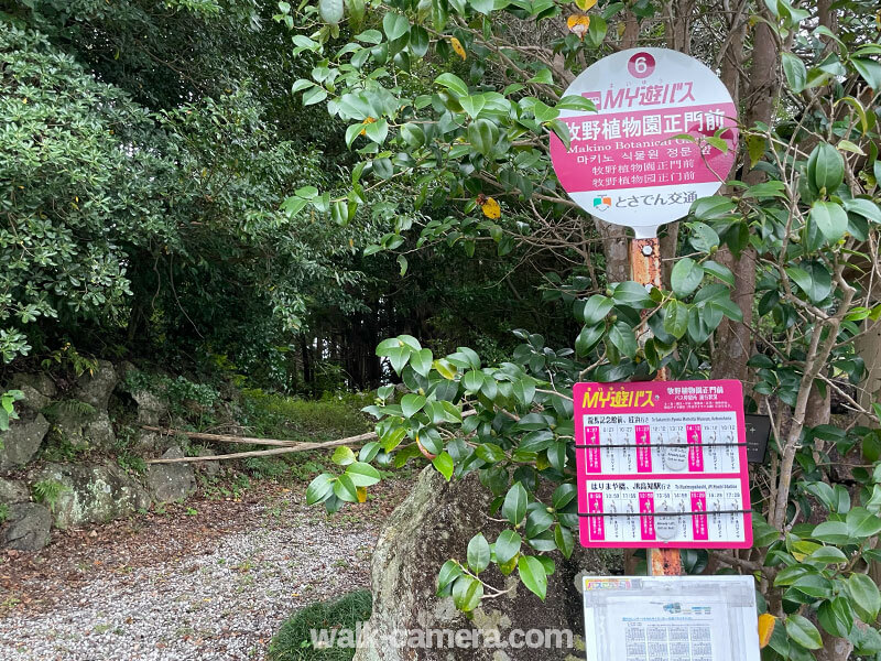 MY遊バス バス停「牧野植物園正門前」