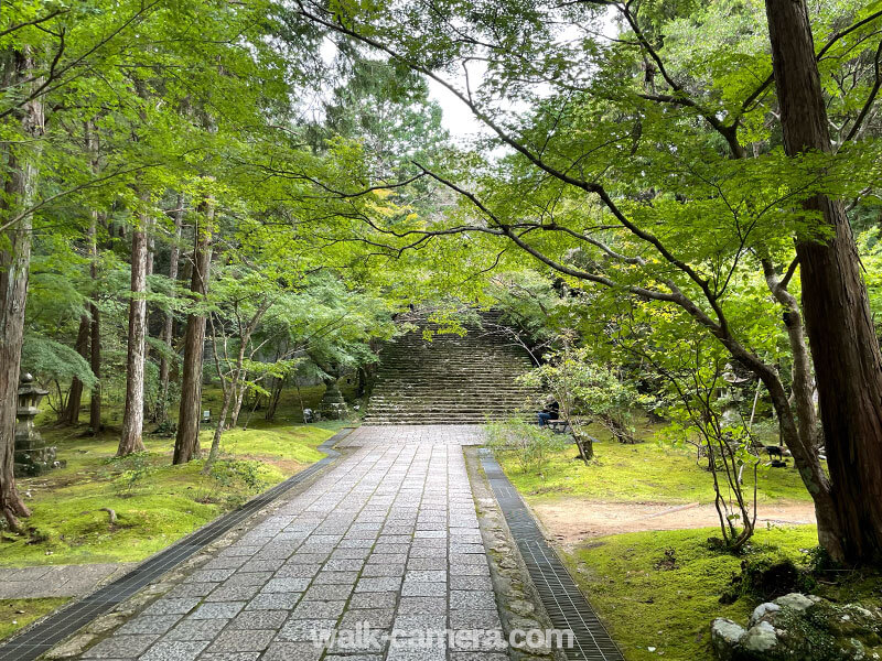 竹林寺 自然