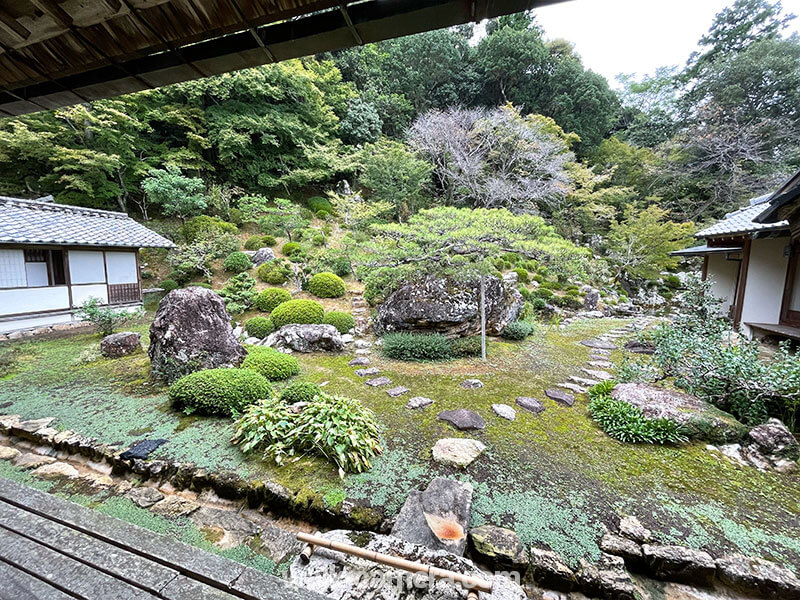 竹林寺 庭園 見どころ