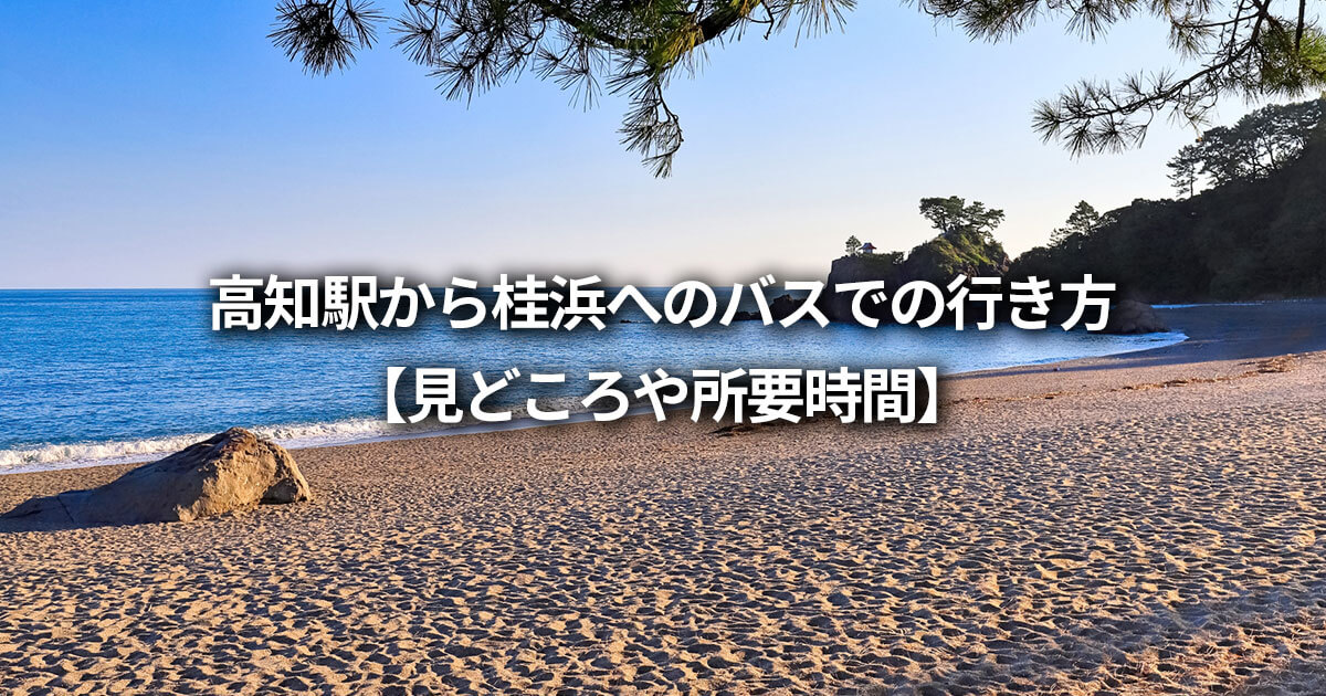 桂浜 龍王岬 坂本龍馬像 高知駅 バス 行き方 所要時間