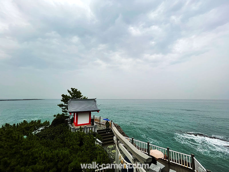 桂浜 龍王岬の風景