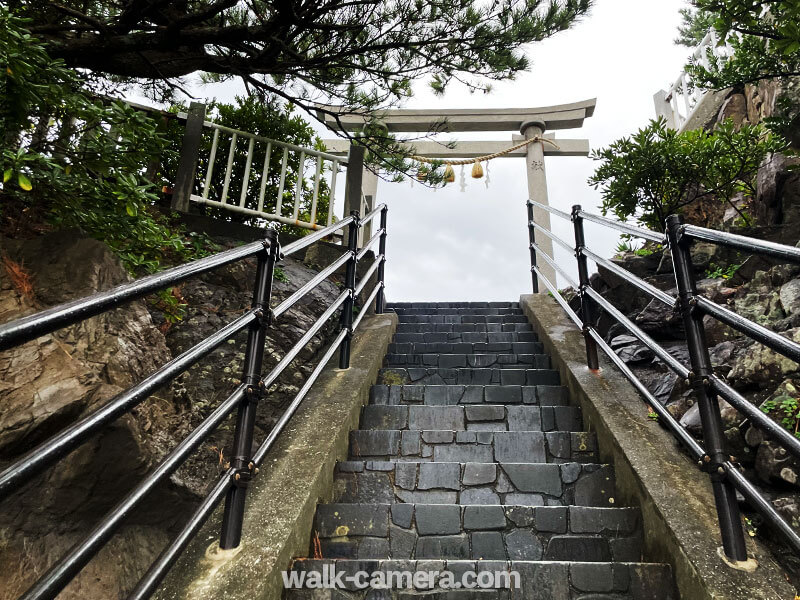 桂浜 龍宮橋 階段 鳥居