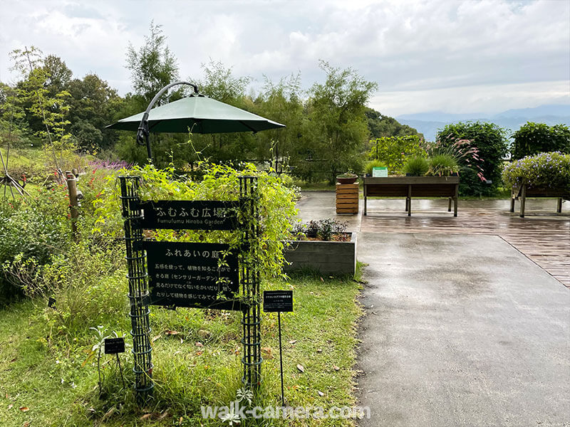 牧野植物園 ふむふむ広場