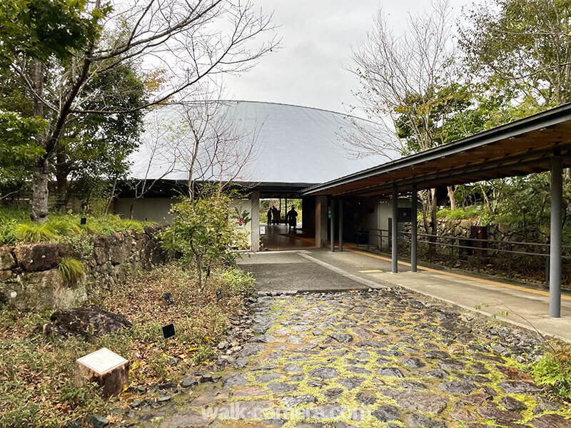 牧野富太郎記念館 展示館