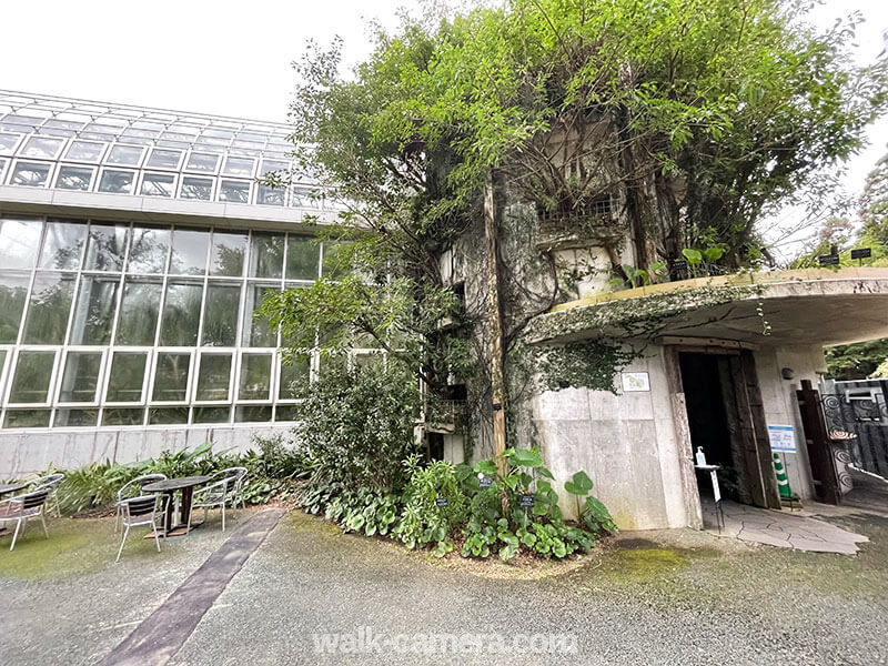 高知県 牧野植物園 温室エリア