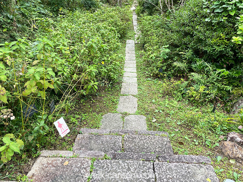 牧野植物園 お遍路道