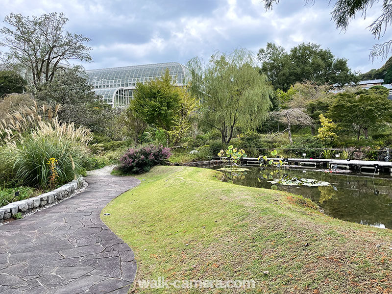 牧野植物園を観光する時の服装と靴について