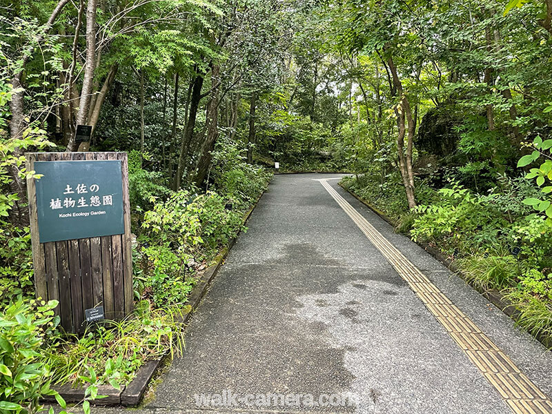 牧野植物園 土佐の植物生態園