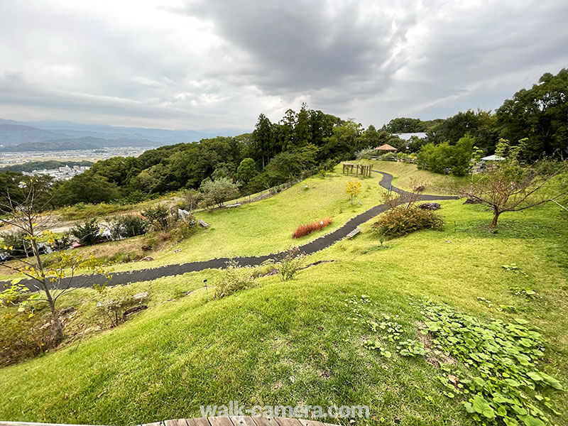 高知県立牧野植物園の暑さについて