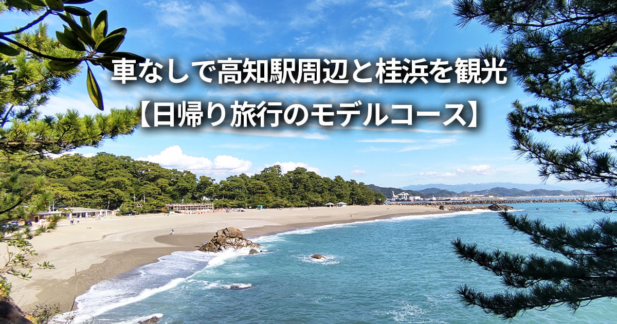 車なし 高知駅周辺 桂浜 バス 観光 日帰り モデルコース