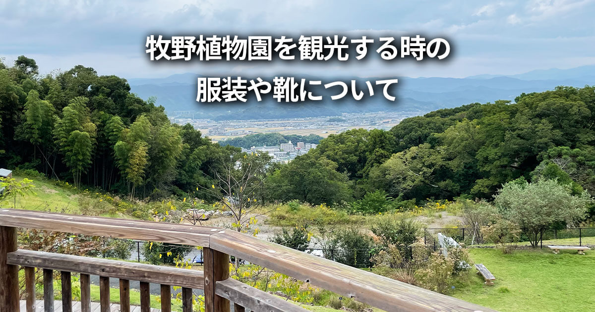 高知県立牧野植物園 暑い 服装 靴 持ち物