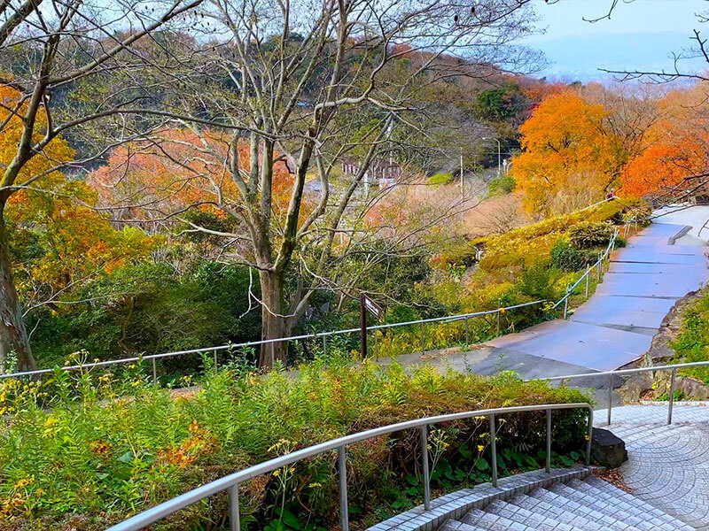 眉山公園 紅葉の見どころ