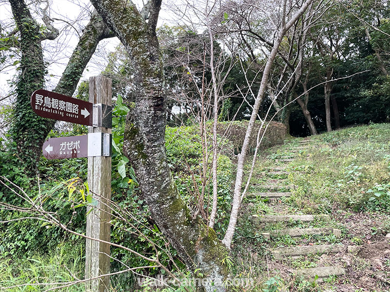 眉山公園 野鳥観察園路