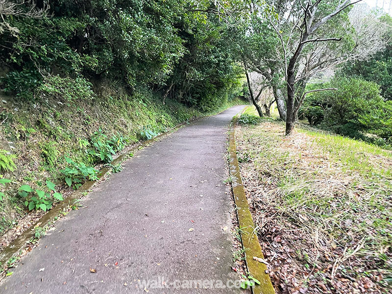 眉山公園 散策路