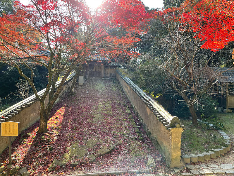 書写山ロープウェイ 圓教寺 紅葉