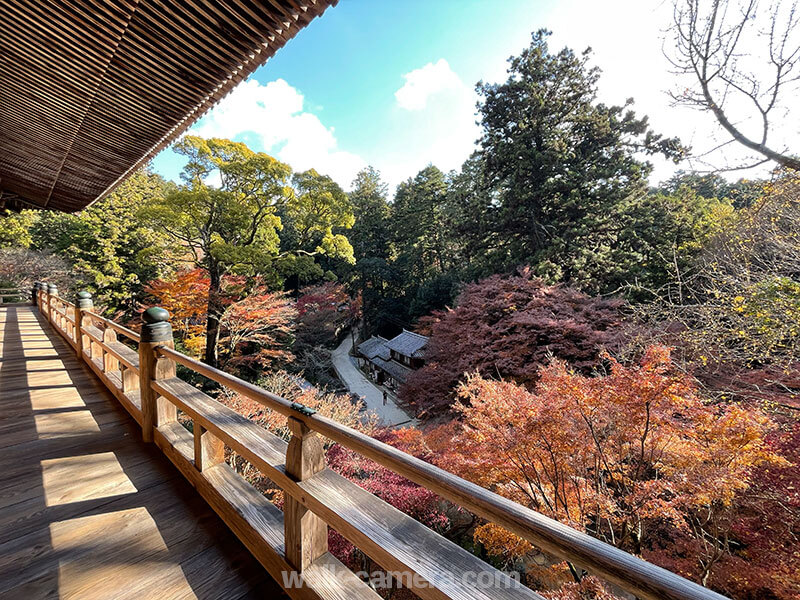 書写山ロープウェイと圓教寺の見どころ・楽しみ方について