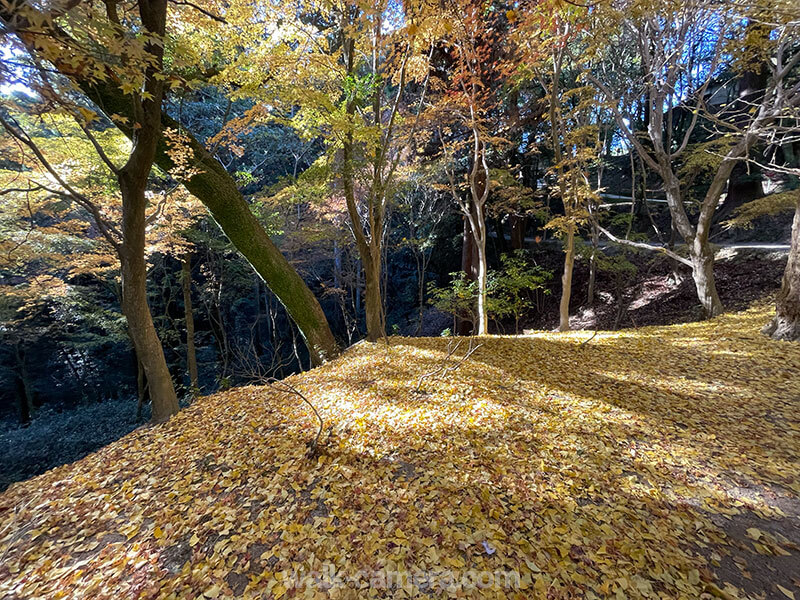 書写山ロープウェイ 圓教寺 自然