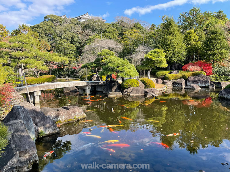 好古園 池泉回遊式庭園