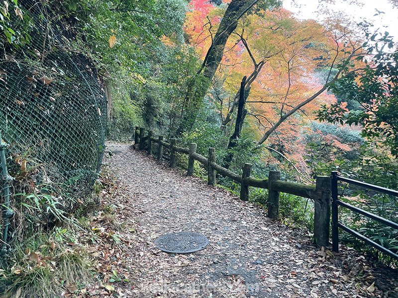 箕面の滝 ハイキングコース 歩きやすさについて