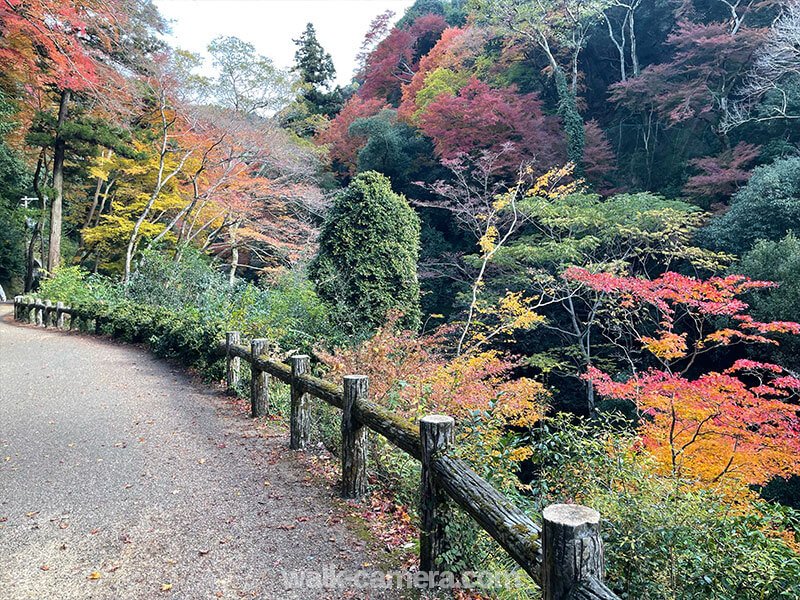 箕面の滝 紅葉