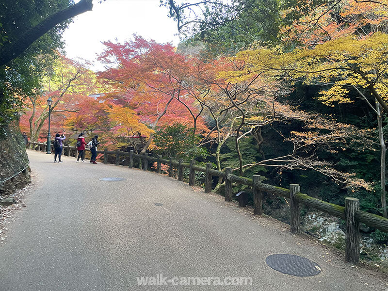 箕面の滝への道