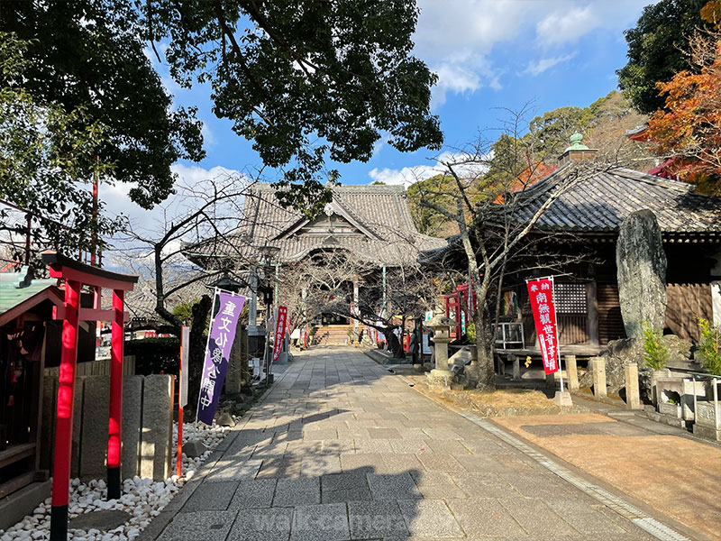 紀三井寺 本堂への道