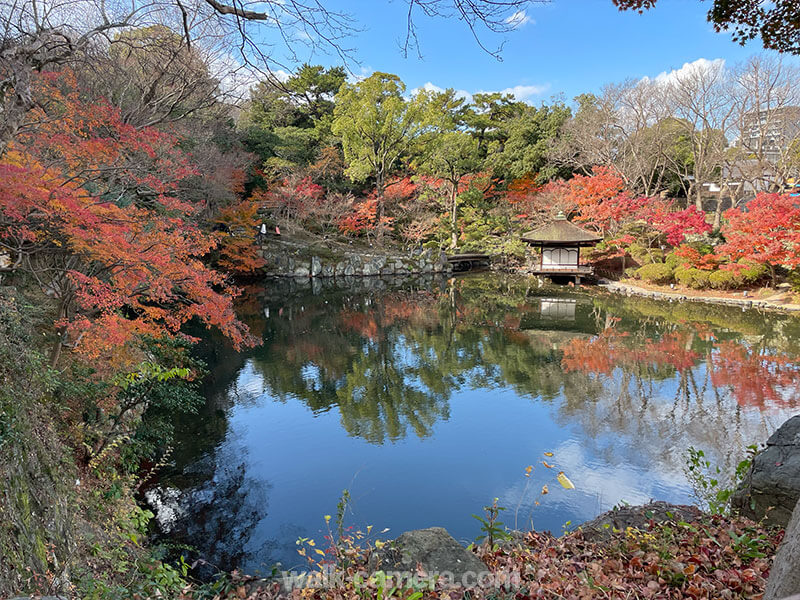 紅葉渓庭園（西之丸庭園）紅葉