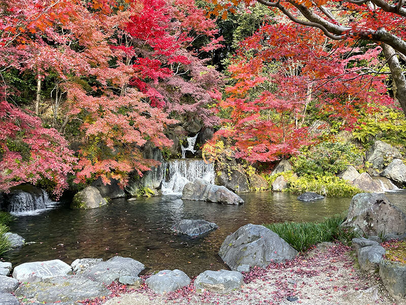 万博記念公園 日本庭園 木漏れ日の滝