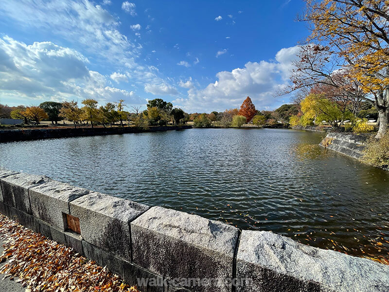 万博記念公園 水の広場