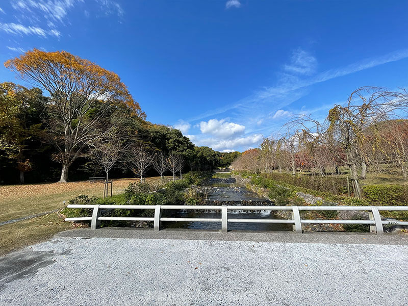 万博記念公園 川 見どころ