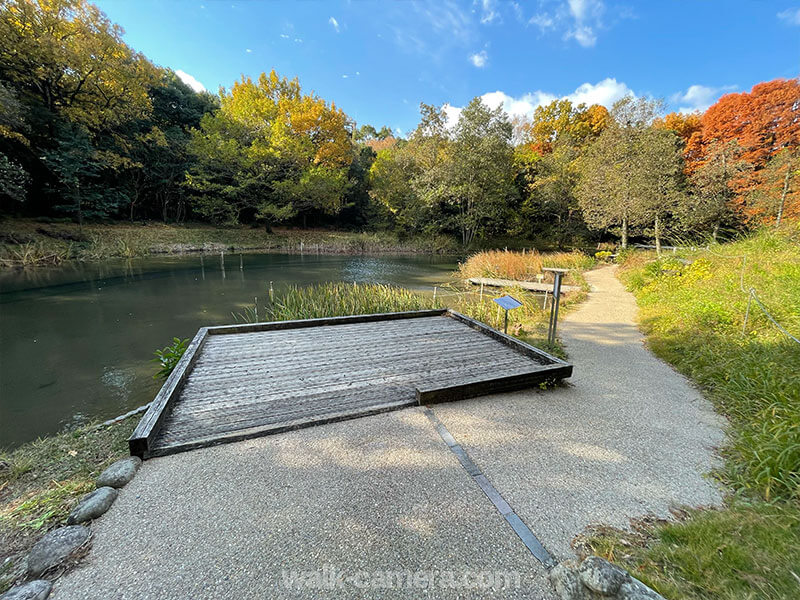 万博記念公園 池 見どころ