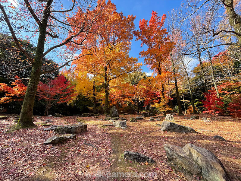 万博記念公園 紅葉渓