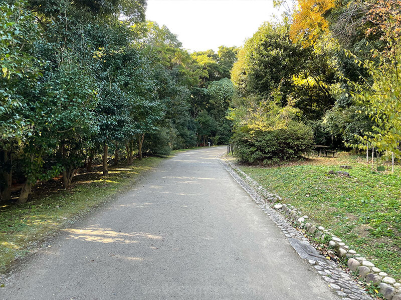 万博記念公園 森林浴