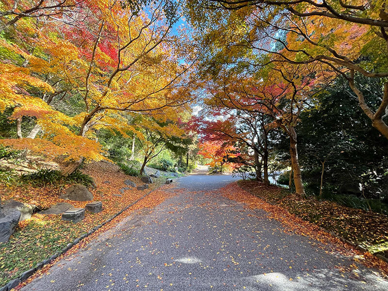 万博記念公園を観光する所要時間（滞在時間）の目安について