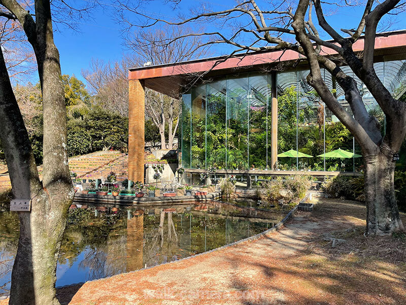 服部緑地植物園 温室 見どころ