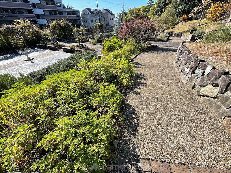 服部緑地都市緑化植物園 ハーブ園 お庭