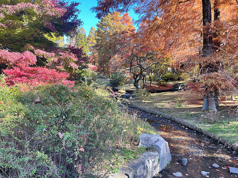 服部緑地植物園 四季の庭 見どころ