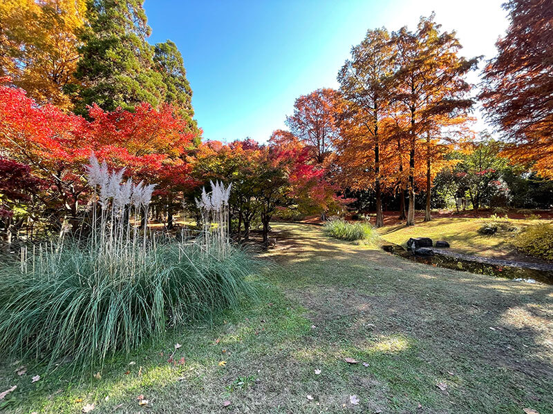 服部緑地都市緑化植物園 季節の草花