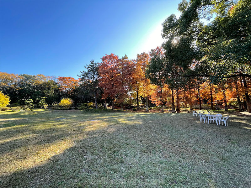 服部緑地植物園 芝生広場 見どころ